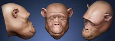 3D модель Шимпанзе 97 (STL)
